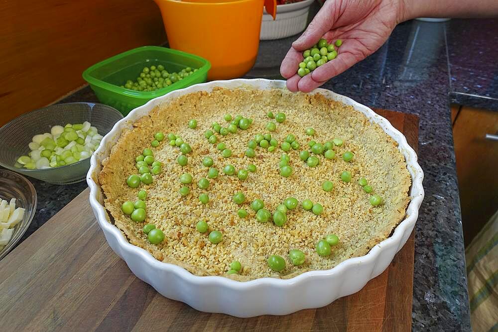 Southern German cuisine, baking, preparing hearty vegetable cake with walnut base, walnut dough in the baking tin, topping the dough with green peas, tart tin, quiche tin, man's hand, Germany, Europe