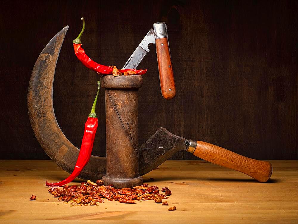 Food photography, still life with sickle, pocket knife, red peppers and chilli peppers, studio shot, symbol photo