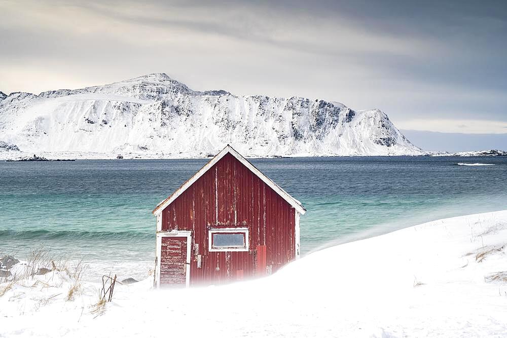 Red Rorbuer fishing hut on the beach in the snow, Ramberg, Flakstadoya, Lofoten, Norway, Europe