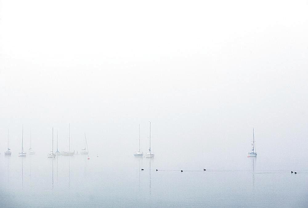 Sailing boats in the morning mist at Mondsee, autumn landscape, Salzkammergut, Upper Austria, Austria, Europe