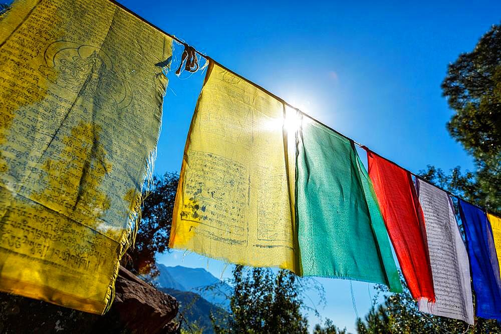 Prayer flags of Tibetan Buddhism with Buddhist mantra on it in Dharamshala monastery temple. There is the residence of Tibetan Buddhism spiritual leader Dalai Lama. Dharamsala, Himachal Pradesh, India, Asia