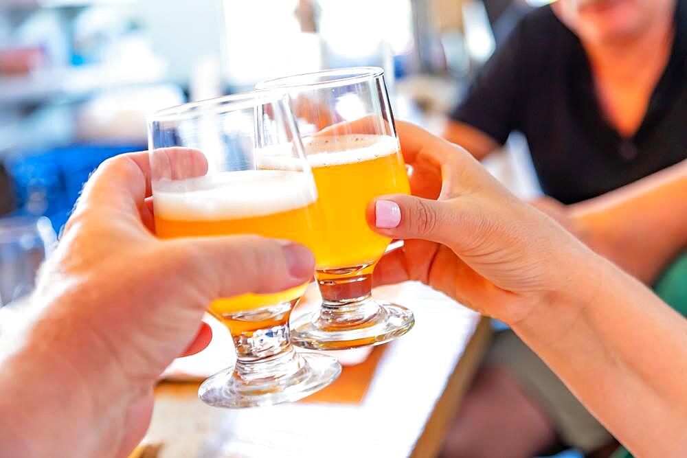 Friends toast with small glasses of micro brew beer at bar