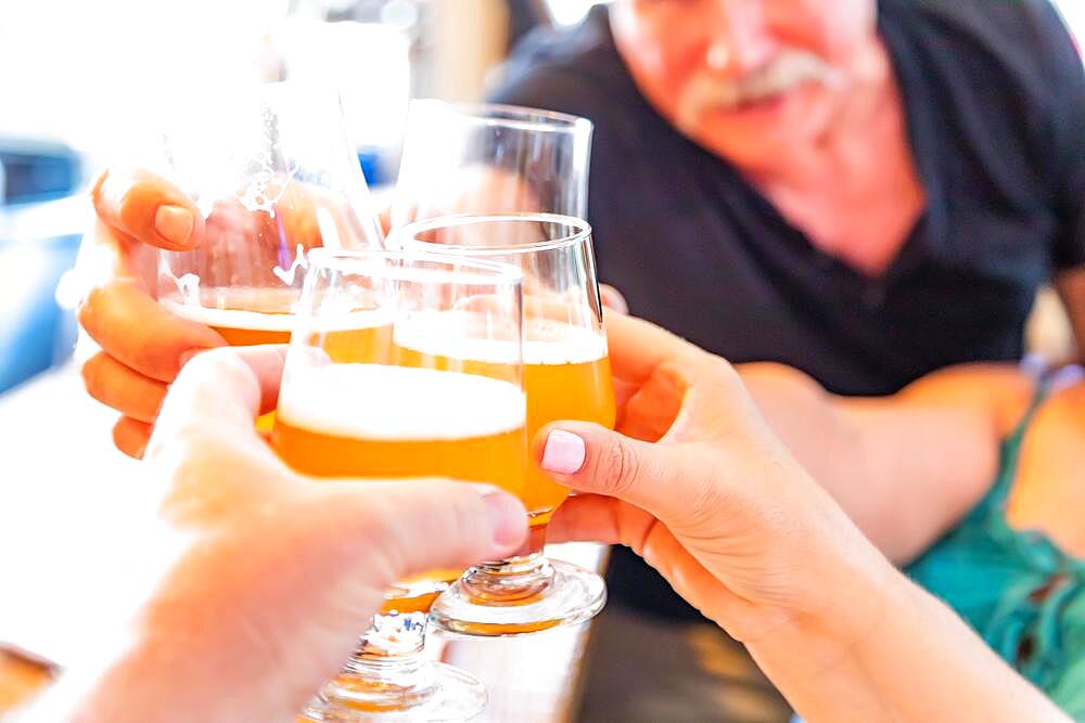 Friends toast glasses of micro brew beer at bar