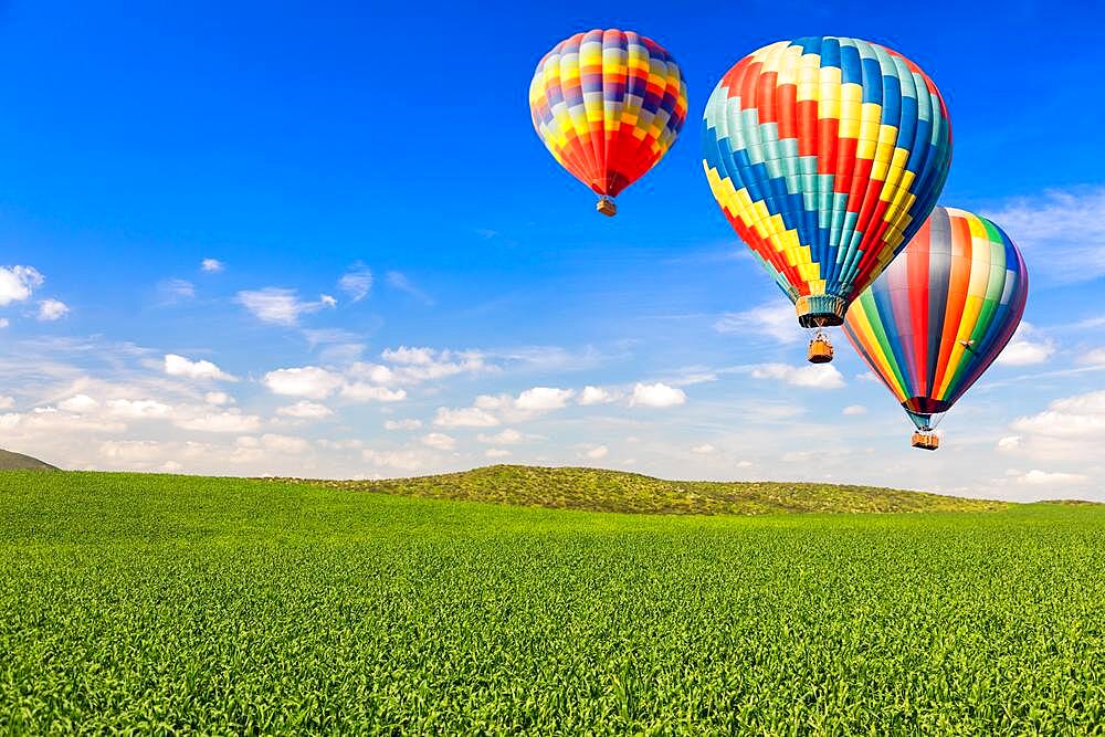 Hot air balloons over lush green landscape and blue sky