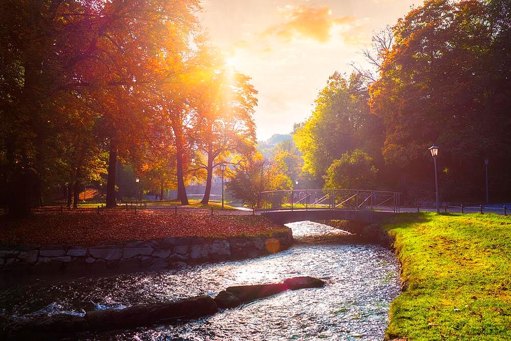 Golden autumn fall October in famous Munich relax place, Englishgarten, English garden with with river and fallen leaves and golden sunligh on sunsett, Munchen, Bavaria, Germany, Europe