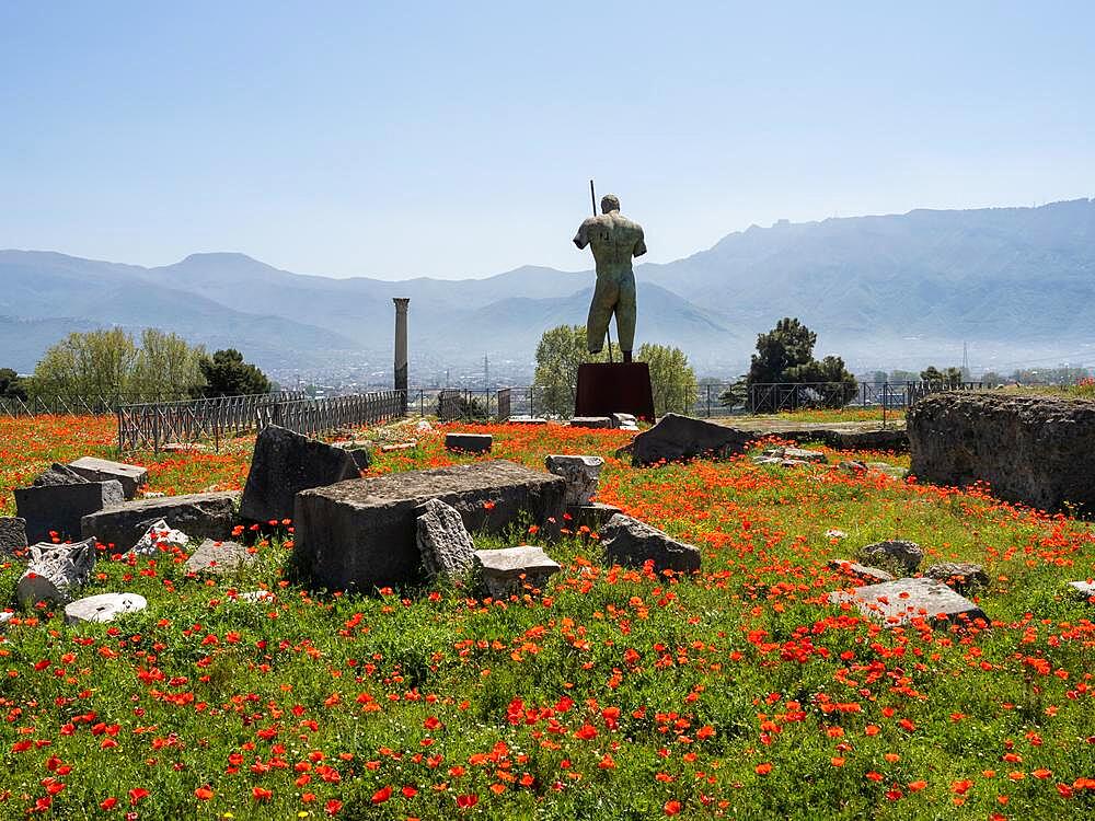 Ruins and statue in a poppy field, Pompeii, Campania, Italy, Europe