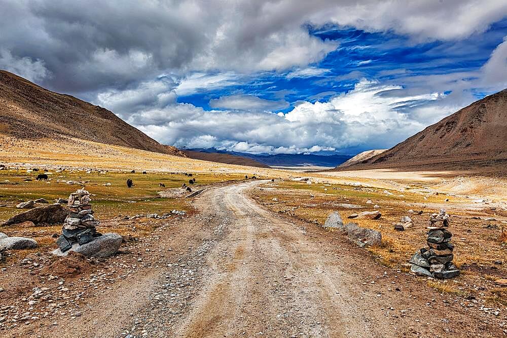 Road in Himalayas marked with stone cairns. Ladakh, India, Asia