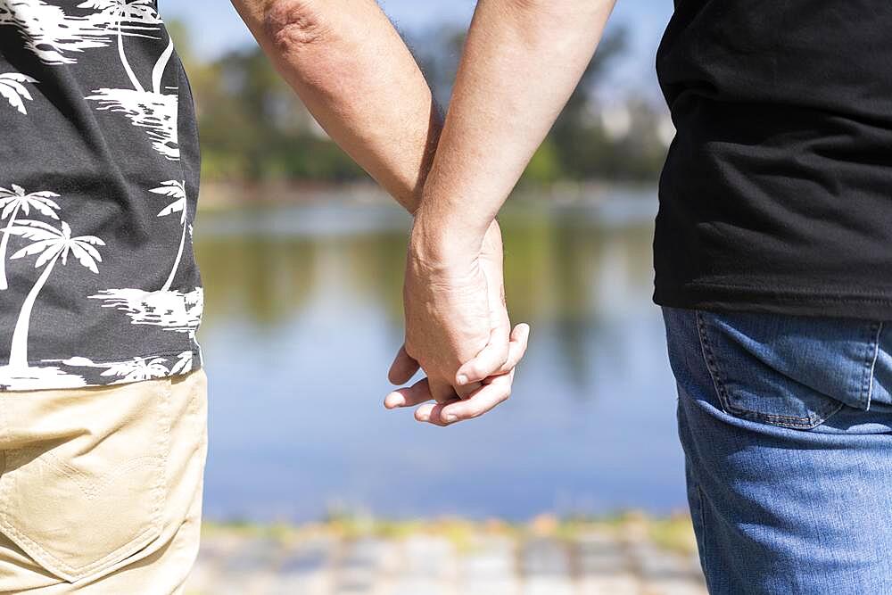 Homosexual white male couple holding hands at a lake