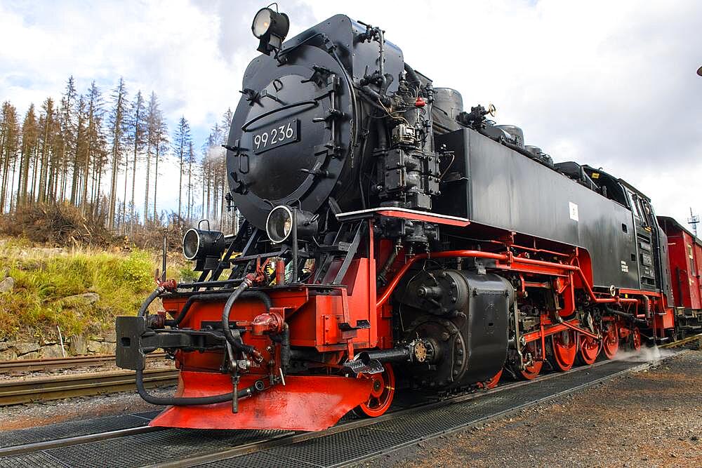 Close-up of steam locomotive with snowplough of Brockenbahn in Schierke station, Schierke, Wernigerode, district of Harz, Saxony-Anhalt, Germany, Europe