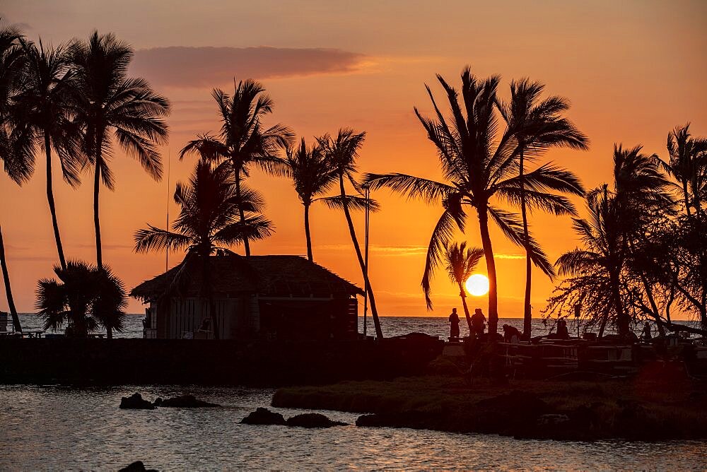 Sunset under palm trees, 'Anaeho'omalu Beach, Waikoloa, Big Island, Hawaii, USA, North America