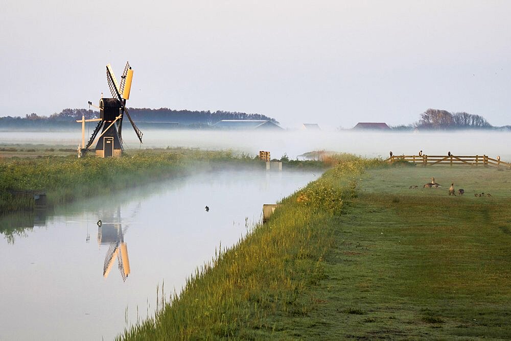 Morning atmosphere near Waalenburg, Texel, Netherlands