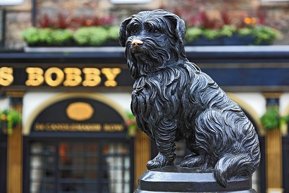 Edinburgh, Old Town, Scottisher Pub, life-size statue of Greyfriars Bobby, monument to the faithful dog in front of the pub of the same name, Scotland, Great Britain