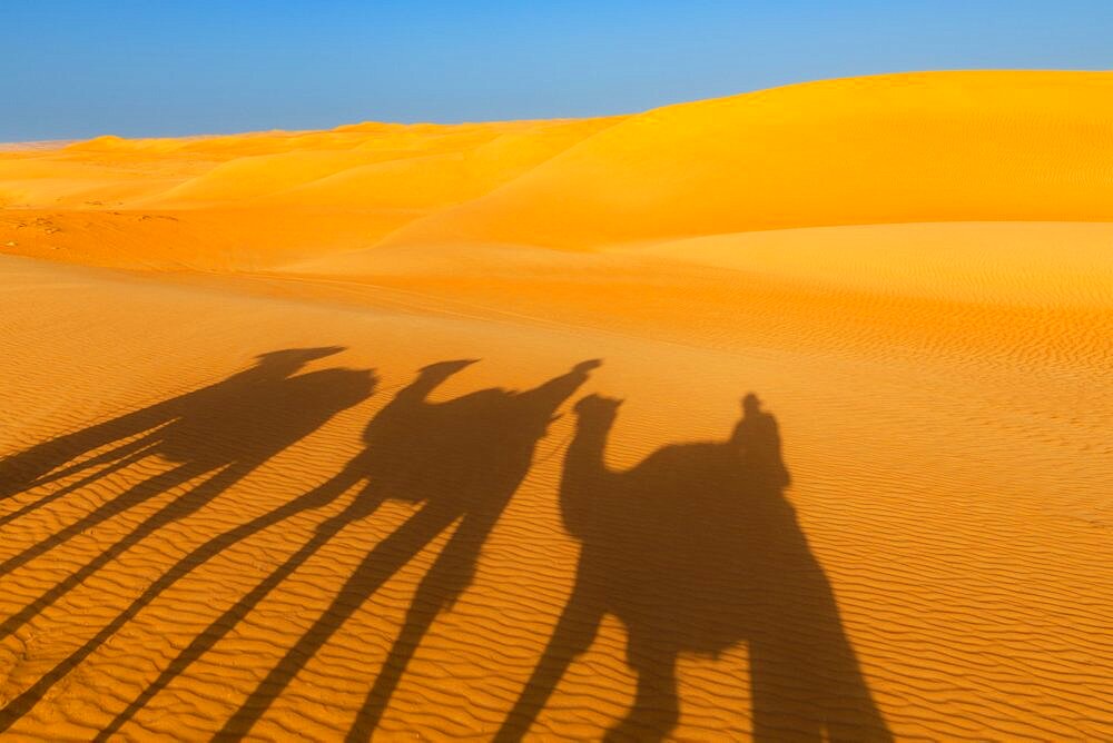 Shadows at sunset over the Wahiba Sands, or Ramlat al-Wahiba, or Sharqiya Sands, Omans largest desert, Sultanat of Oman