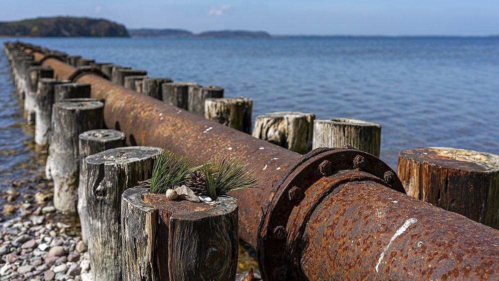 Rusty pipeline between groynes on the Jasmund Bodden, Ruegen Island, Mecklenburg-Western Pomerania, Germany, Europe