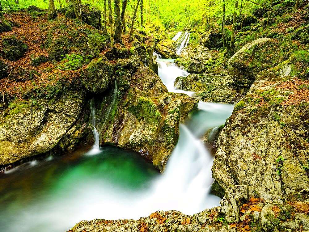 Lepenjica Torrent, Soca Valley, Bovec, Triglav National Park, Slovenia, Europe