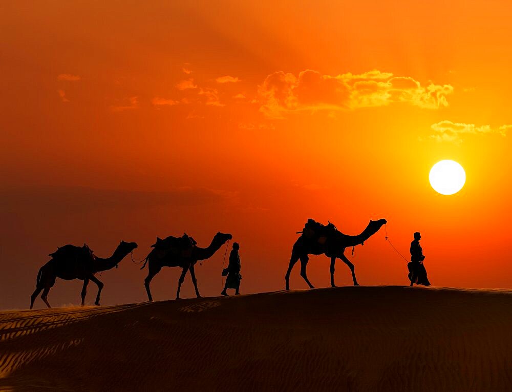 Rajasthan travel background, two indian cameleers (camel drivers) with camels silhouettes in dunes of Thar desert on sunset. Jaisalmer, Rajasthan, India, Asia