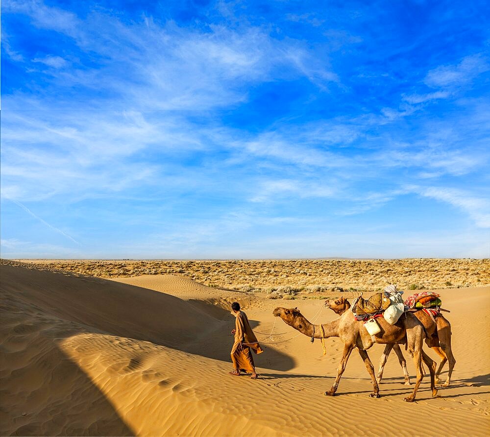 Rajasthan travel background, India cameleer (camel driver) with camels in dunes of Thar desert. Jaisalmer, Rajasthan, India, Asia