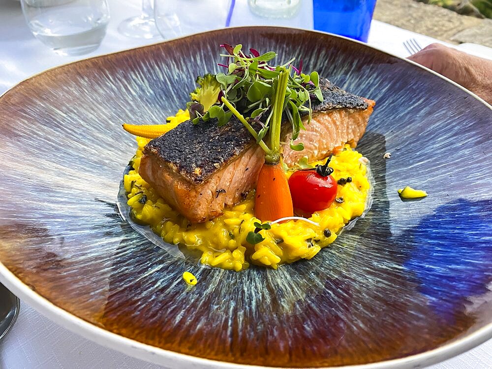 Fried salmon with risotto, carrots, garlic, tomatoes, lettuce, Mallorca, Spain, Europe