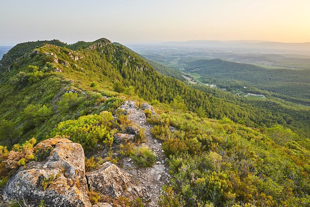 View onto the mountain range of Mount "La Talaia del Montmell" at evening, Catalonia, Spain, Europe