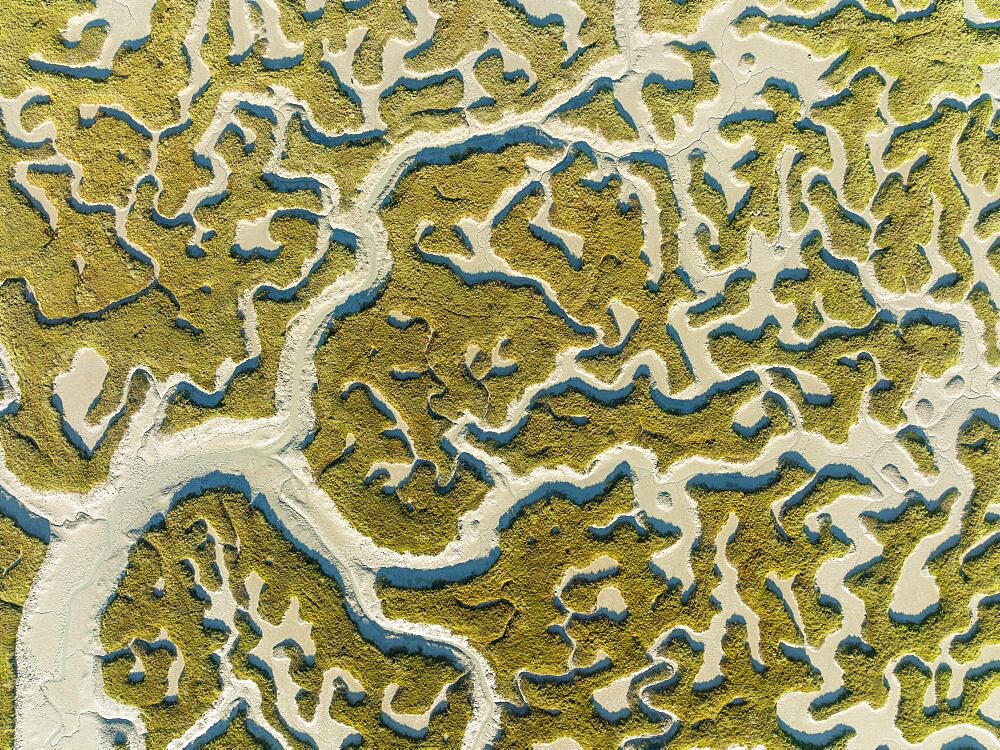 Network of dry channels and streams at low tide, in the marshland of the Bahia de Cadiz, aerial view, drone shot, Cadiz province, Andalusia, Spain, Europe