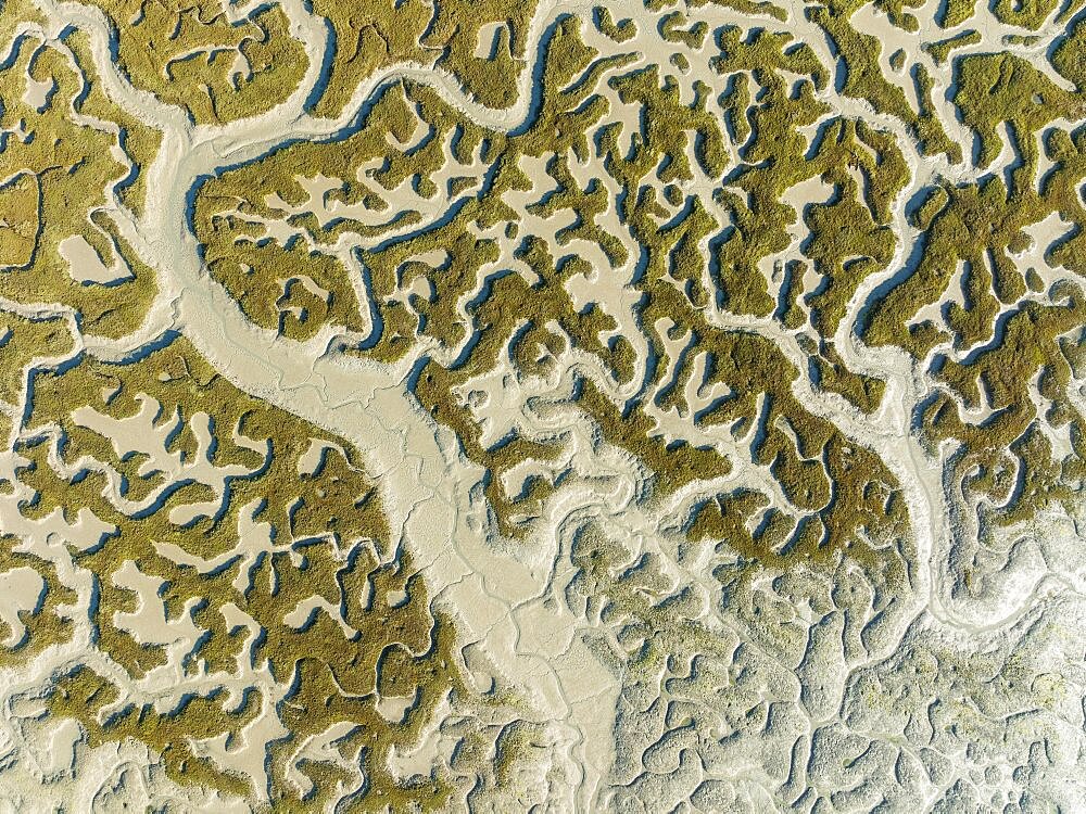 Network of dry channels and streams at low tide, in the marshland of the Bahia de Cadiz, aerial view, drone shot, Cadiz province, Andalusia, Spain, Europe