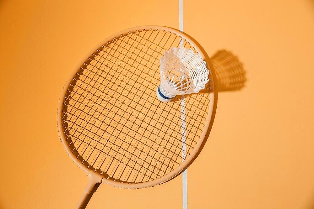 badminton racket shuttlecock top view