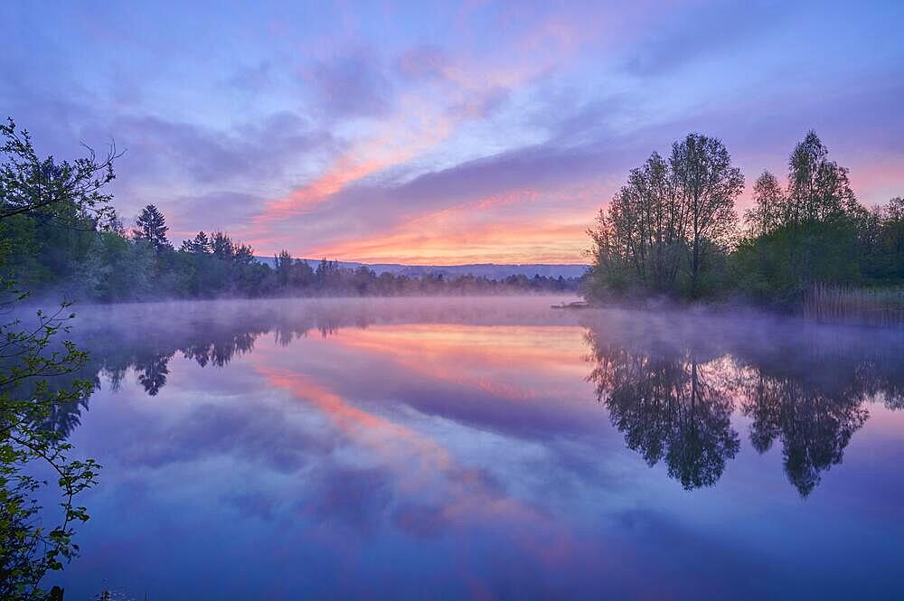 Lake, fog, twilight, sunrise, spring, Mondfeld, Wertheim, Main-Tauber-Kreis, Baden-Wuerttemberg, Germany, Europe
