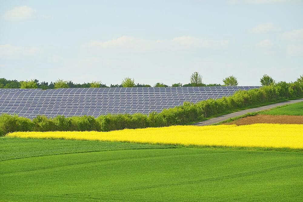 Landscape, solar area, fields, rape field, blossom, spring, Miltenberg, Spessart, Bavaria, Germany, Europe