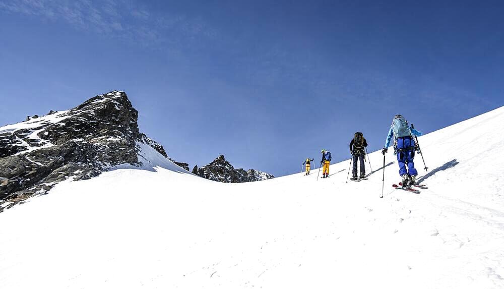 Ski tourers on the ascent, mountains in winter with snow, Stubai Alps, Tyrol, Austria, Europe