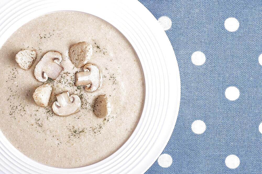 Creamy chicken soup with mushrooms on a white plate