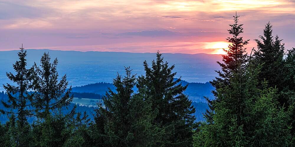 View from Schliffkopf at sunset, trees, forest, Black Forest National Park, Northern Black Forest, Black Forest, Baden-Wuerttemberg, Germany, Europe