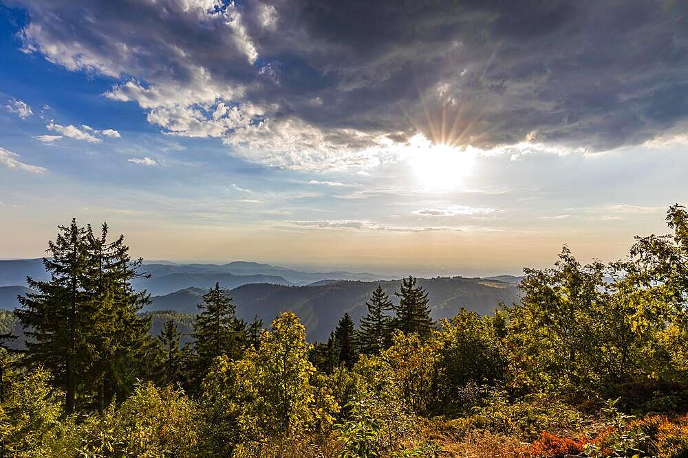 View from Schliffkopf at sunset in the Black Forest National Park, Forest, Northern Black Forest, Black Forest, Baden-Wuerttemberg, Germany, Europe