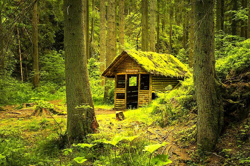 The Roetenbachschluchthuette in the forest, with moss on the roof, Roetenbachschlucht, Black Forest, Baden-Wuerttemberg, Germany, Europe