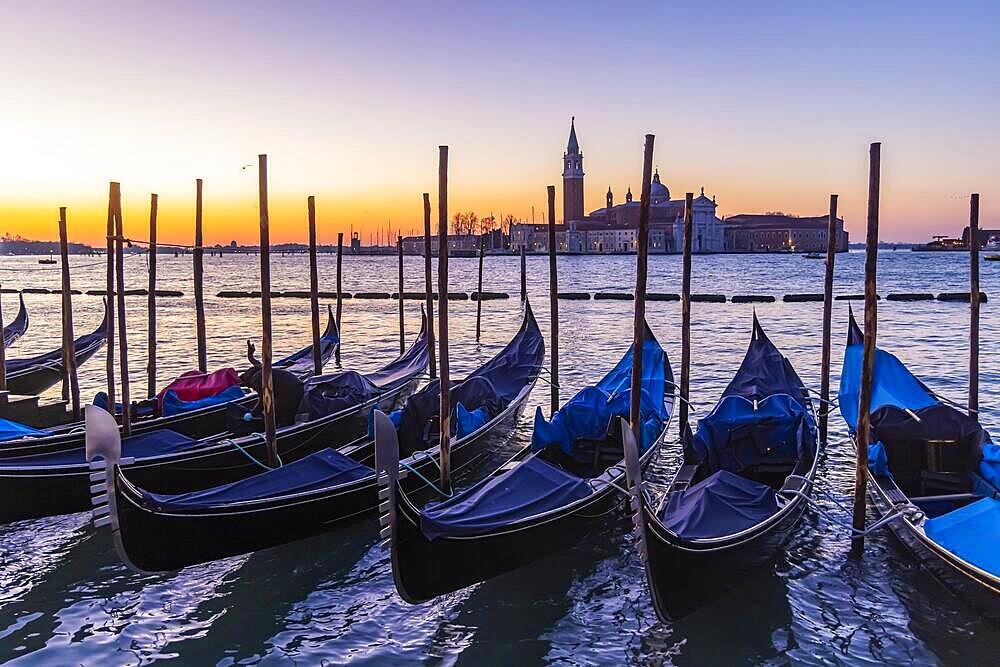 Early morning on the Canale della Giudecca with gondolas, Basilica di San Giorgio Maggiore, Venice, Italy, Europe