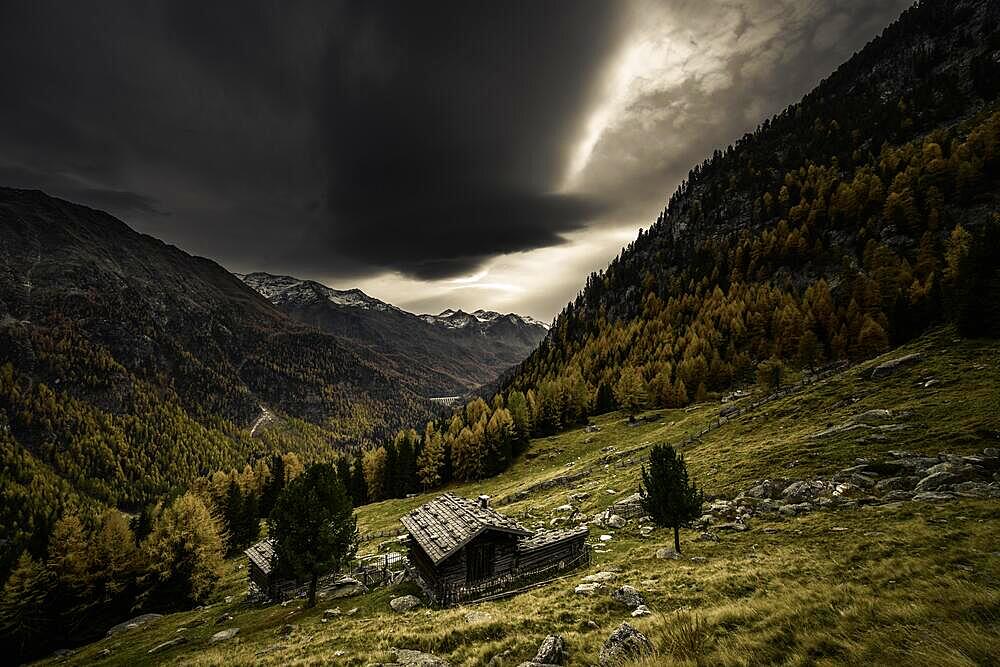 Mountain hut on mountain meadow with autumnal mountain forest and threatening cloudy sky, Martell valley, Merano, Vinschgau, South Tyrol, Italy, Europe