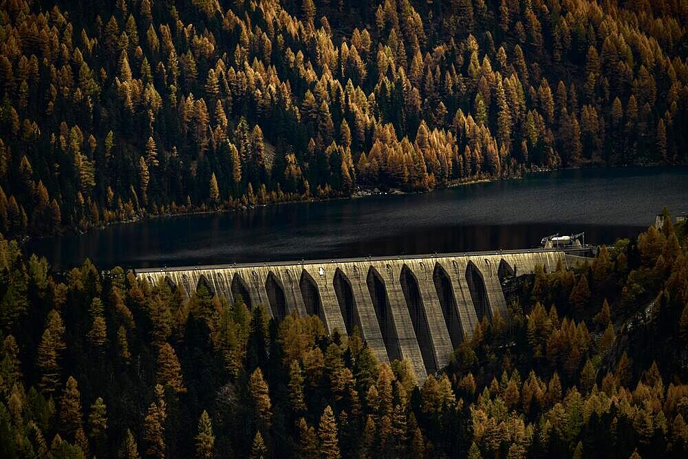 Dam of the Zufrittsee with autumnal mountain forest, Martell Valley, Merano, Vinschgau, South Tyrol, Italy, Europe