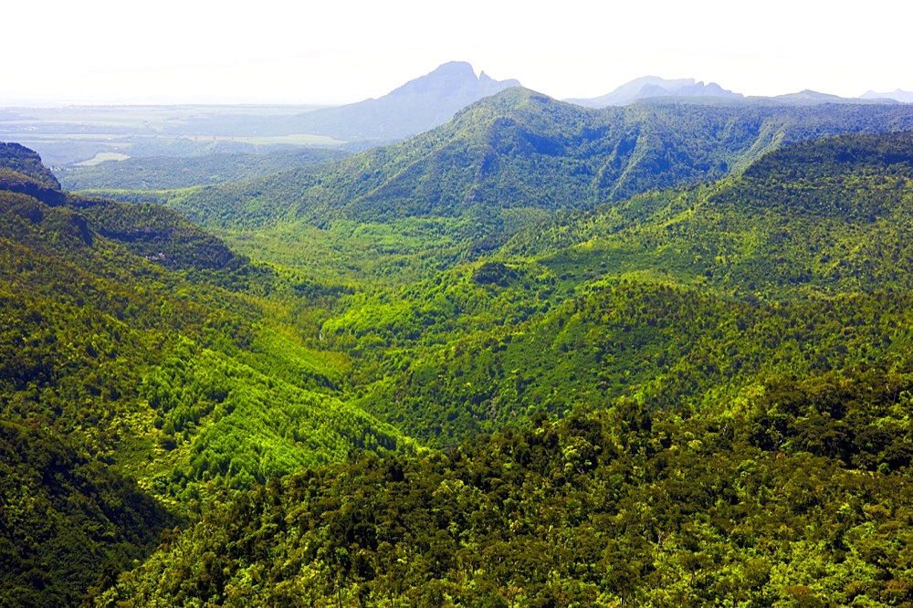 View of Black River Gorges National Park, South Coast, Mauritius, Africa