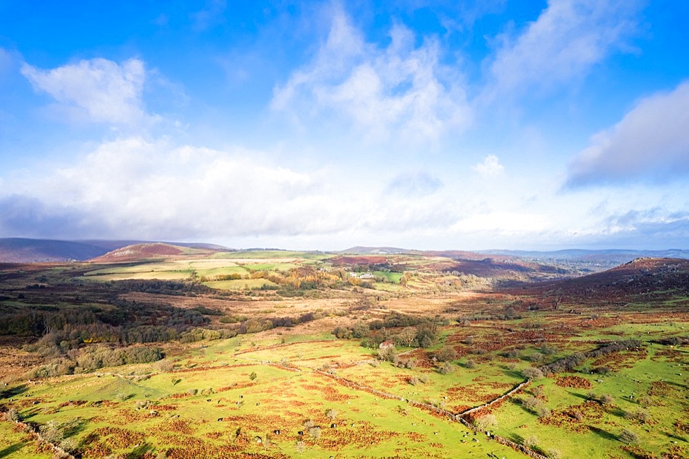 View over Emsworthy Mire from a drone, Haytor Rocks, Dartmoor National Park, Devon, England, UK