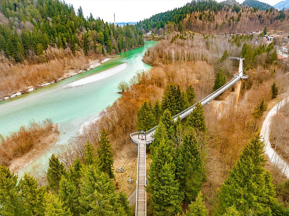 Treetop path in the forest, Fuessen, Allgaeu, Bavaria, Germany, Europe