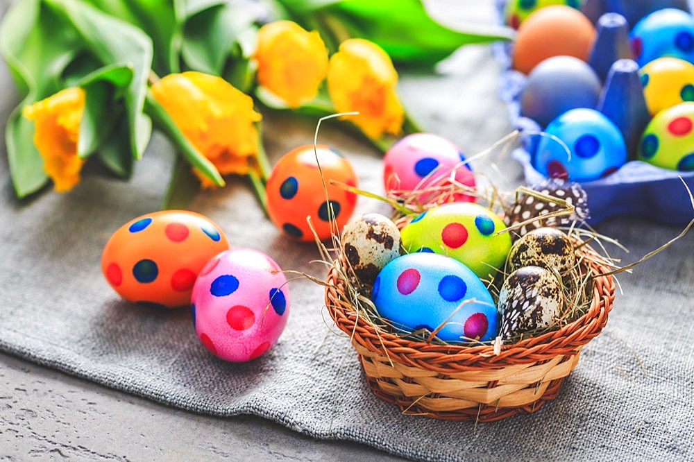 Spring time - Easter eggs and tulips on grey background