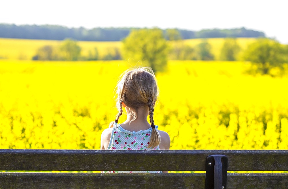 Girl (8) on park bench, rape field, Kiel, Schleswig-Holstein, Germany, Europe