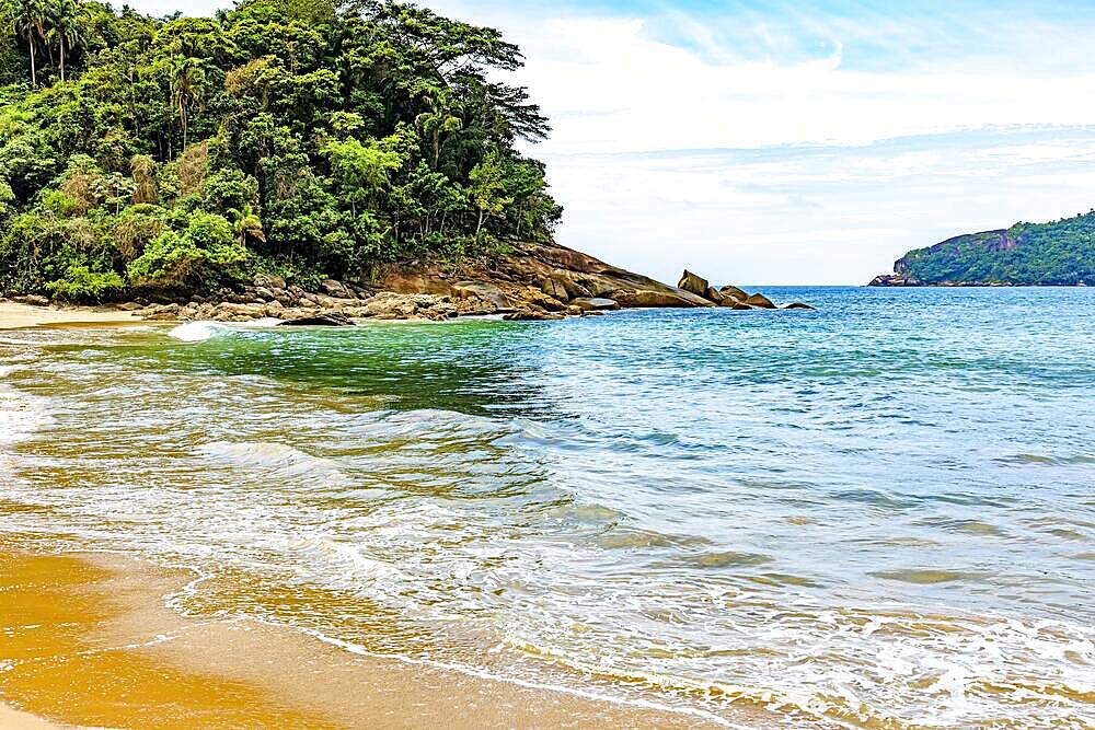 Dense vegetation of the tropical forest by the sea of transparent waters in Trindade on the south coast of Rio de Janeiro, Brasil