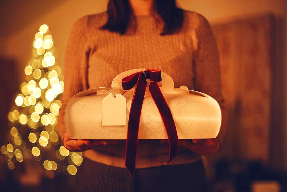 Cropped photo of unrecognizable woman holding Christmas gift box while standing at home with blurred xmas tree in background. Selective focus of female receiving New Year present