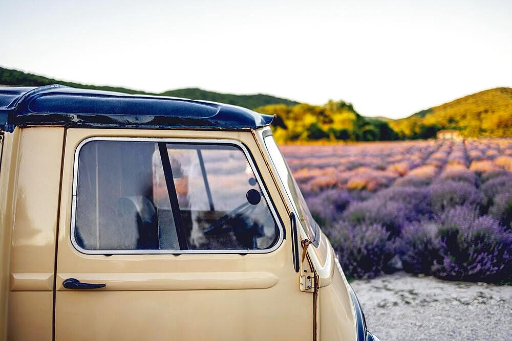 Lavender field in summer sunny day with retro car on first plan. Travel and holiday concept