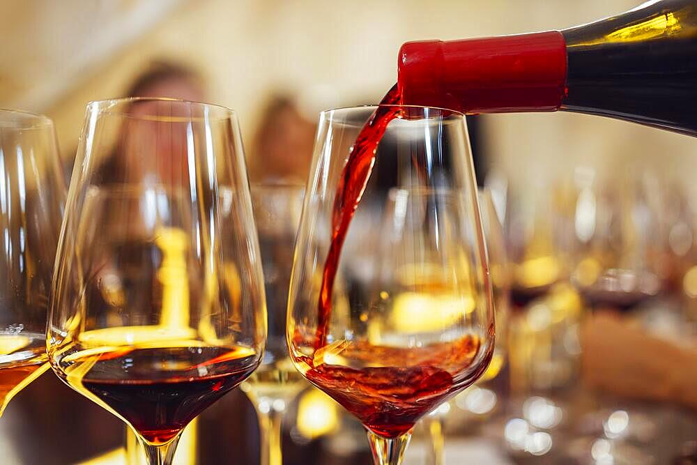 Glass goblets placed in rows on table during wine tasting procedure in restaurant. Close up