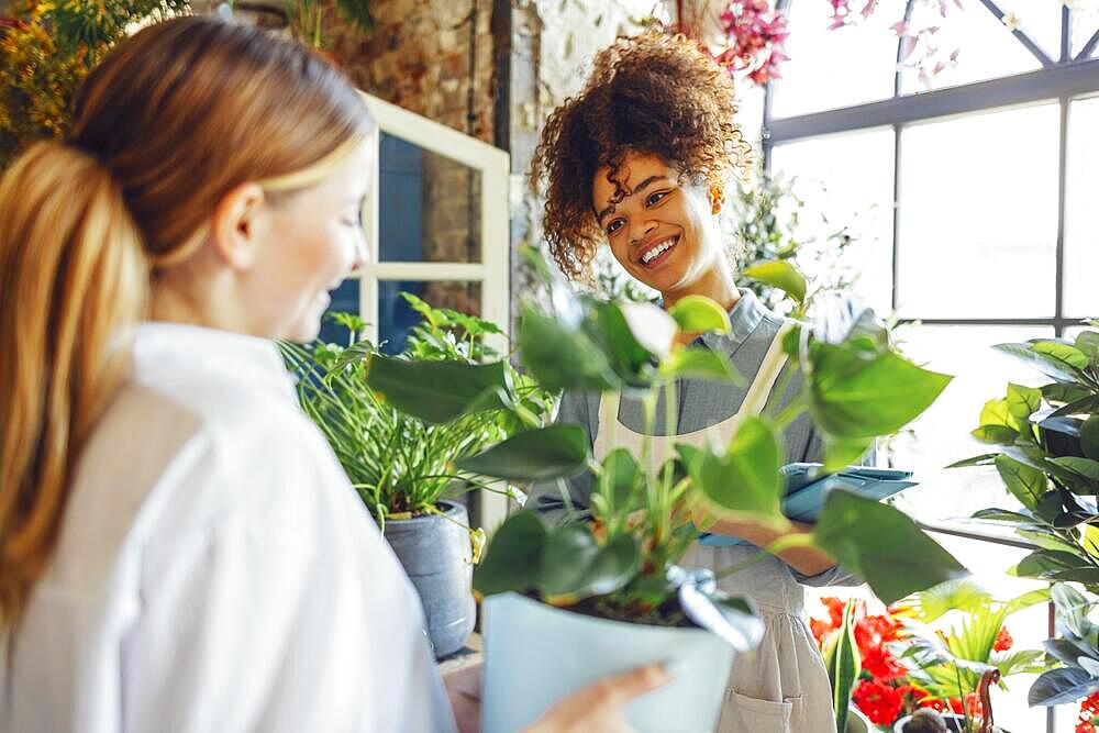 Happy black woman entrepreneur standing in plant store selling fresh flowers to client. Young blond girl buy a fresh bouquet from florist. Smiling african woman botanist, selling flowers