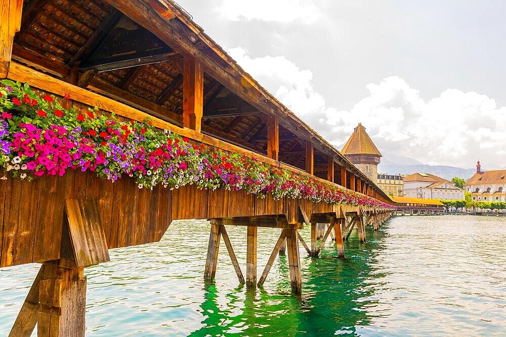 City of Lucerne with Chapel Bridge and Flowers in a Sunny Day in Switzerland