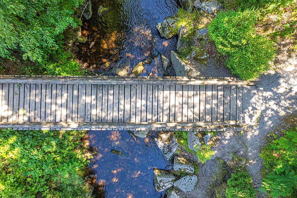 Aerial view of a wooden bridge over a small river in the forest on the hiking trail Sprollenhaeuser Hut, Bad Wildbad, Black Forest, Germany, Europe