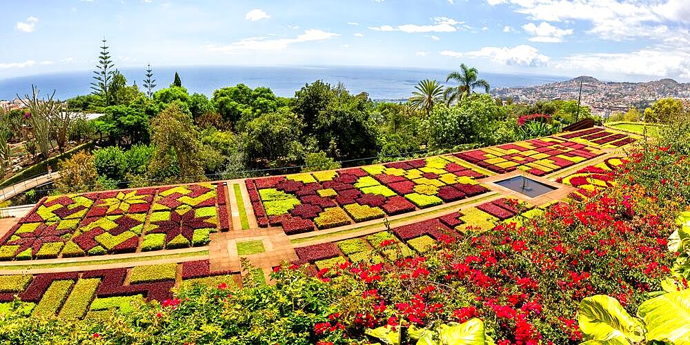 Flowers and plants in the botanical garden of Funchal Panorama on Madeira Island, Portugal, Europe