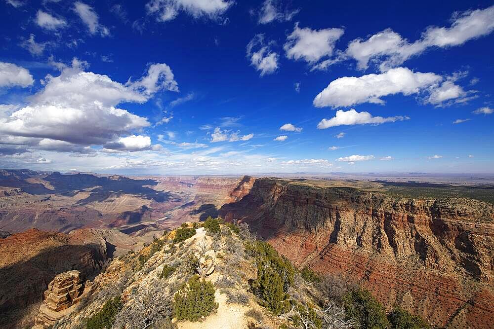 View from South Rim, Grand Canyon National Park, Arizona, USA, North America